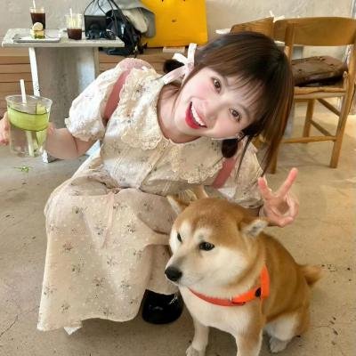 星际特派员